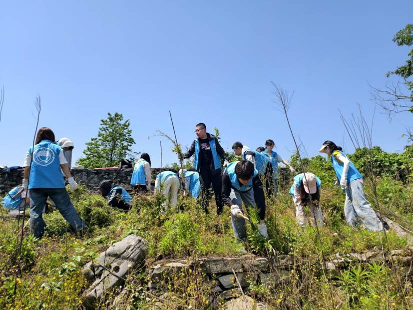 tyc122cc太阳成集团员工在石漠化严重的撂荒地开展劳动2